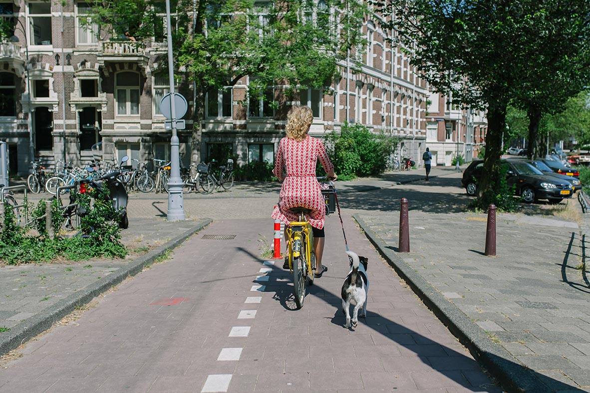 Pet relocation Amsterdam