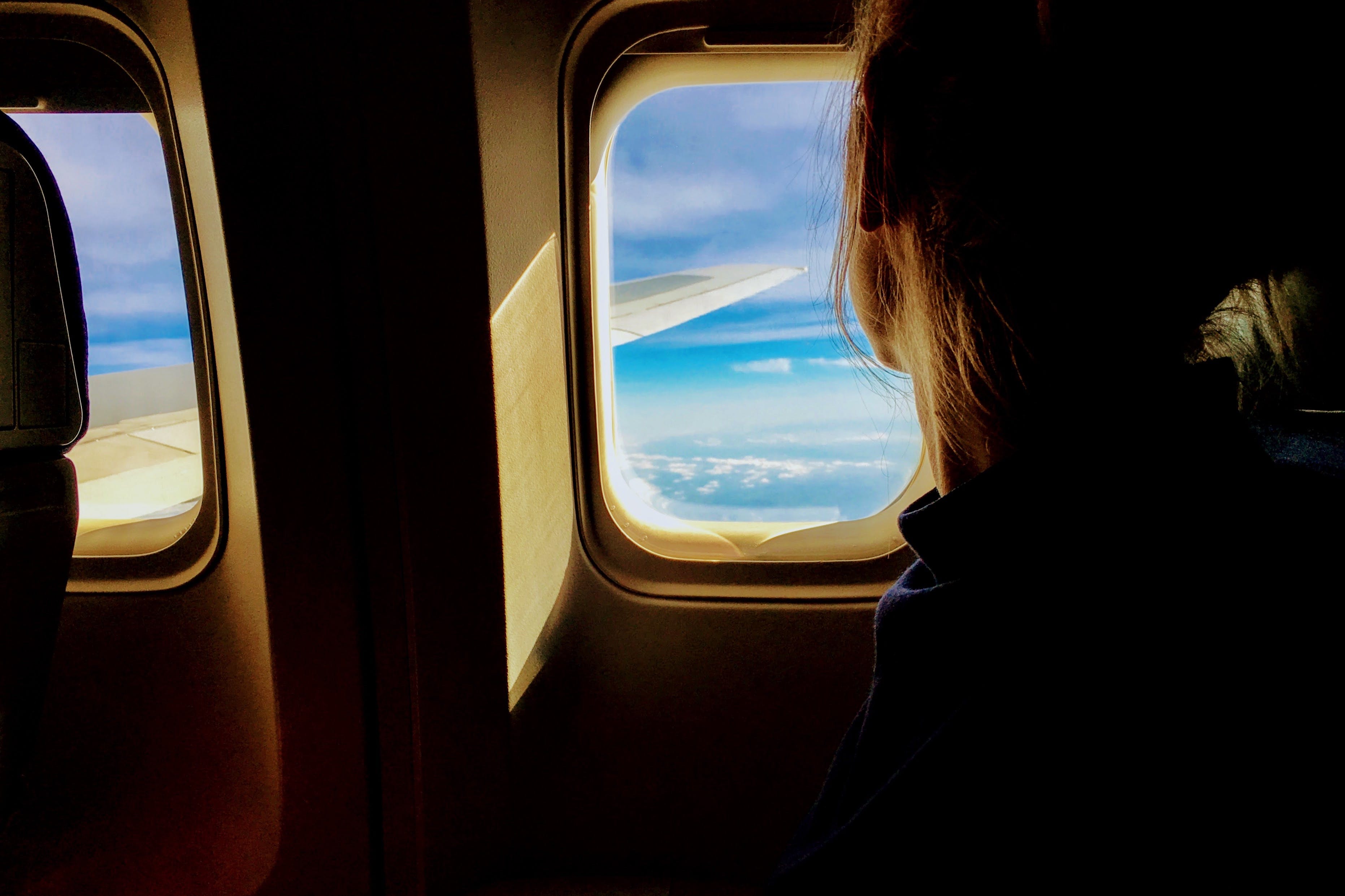 Breed-Specific Considerations for International Pet Relocation